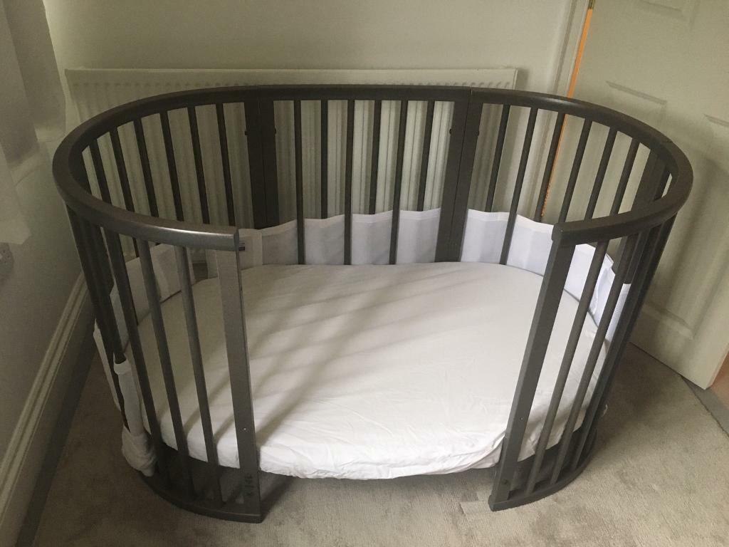 gumtree stokke cot